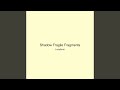 Shadow Fragile Fragments