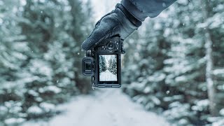 Relaxing POV Nature Photography｜Frozen Forest Exploring