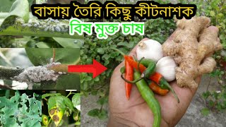 বাসায় তৈরি কিছু কীটনাশক যা আপনাকে বিষ মুক্ত বাগান করতে সাহায্য করবে।আদা,রাসুন,মরিচ ইত্যাদি দিয়ে।