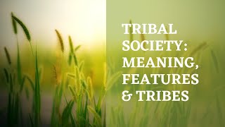 Tribal Society - meaning, features \u0026 tribes || BA Sociology Semester 5