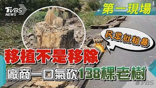 移植不是移除~ 廠商一口氣砍138棵老樹 民眾批粗暴｜TVBS新聞@TVBSNEWS01