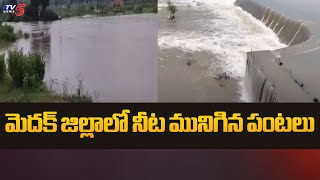 మెదక్ జిల్లాలో నీట మునిగిన పంటలు | Heavy Flood Occur In Medak DIst | Latest Weather Updates | TV5