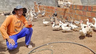 VANIO DA FEIRA DAS GALINHAS REGISTRANDO AS NOVIDADES QUE ELE TÁ FAZENDO EM SEU GRIATORO #NORDESTE