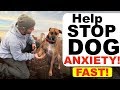 How to stop Dog Anxiety Fast -Dog anxiety training|Fearful dog training tips!