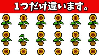 🪴頭の体操・脳トレを習慣に！🔍1つの間違い探し【植物編】認知症予防・脳の活性化・仲間外れ探し|第631回