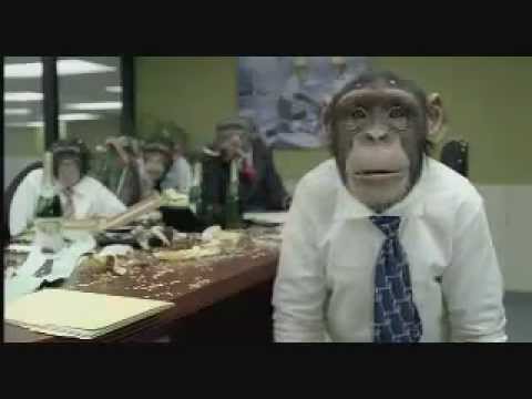 Funny Board Meeting Youtube