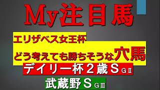 武蔵野Ｓ2020　デイリー杯2歳Ｓ2020　最終予想　とエリザベスの超自信穴馬１頭紹介