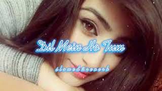 Dil Mein Ho Tum | Lofi Music | [Slowed & Reverb] #sad #love #slowed #reverb #trending #viral