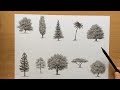 Drawing Trees With Charcoal Pencils