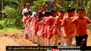 Farming in T P Bava's 40 acre land | ടി പി ബാവയുടെ 40 ഏക്കറില്‍ ഞാറു നട്ടു