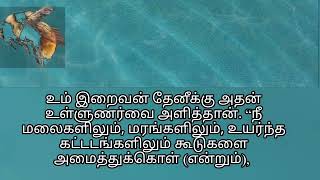 தேன் எவ்வாறு உற்பத்தியாகின்றது, The science of honey that the Qur'an says. தேனின் மருத்துவ குணம்,