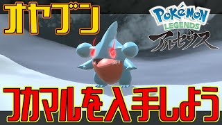 【ポケモンアルセウス】オヤブンのフカマルを入手しよう【Pokémon LEGENDS アルセウス】