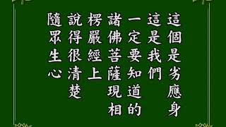 淨空老法師 阿彌陀經疏鈔演義 75 有聲書