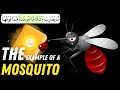 The Miracle of Mosquitoes in the Quran