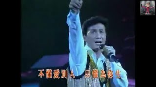 許冠傑 Sam Hui ~ 風中趕路人【香港情懷'90演唱會】