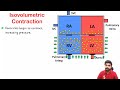 cardiac cycle क्या होती है phases heart sound in hindi murmurs क्या होता है