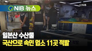 [NIB 뉴스] 일본산 수산물 국산으로 속인 업소 11곳 적발