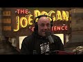 joe rogan reveals how mcgregor beat aldo in 13 seconds u0026 the art and beauty of fighting