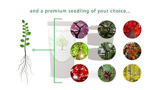The Living Urn. Grow a Living Memory Tree from Your Loved One's Cremated Remains!