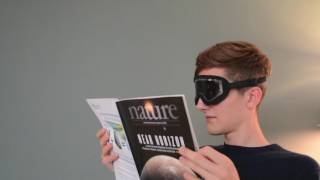 Perspectacles Vision Simulators