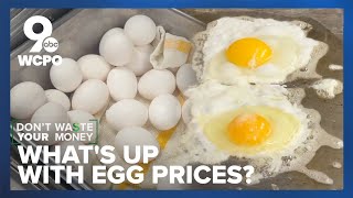 Restaurants feeling impact as egg prices surge due to bird flu outbreaks