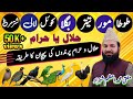 Halal parinday | Haram parnday | Birds | | Mufti Azam Shahzad | حلال اور حرام پرندوں کی پہچان