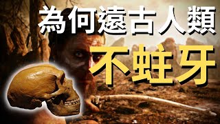 2023｜遠古人類不刷牙也不會蛀牙？| 到底是什麼原因導致現代人容易患上蛀牙？ | 為何會蛀牙？ #不蛀牙 #蛀牙原因 #不刷牙