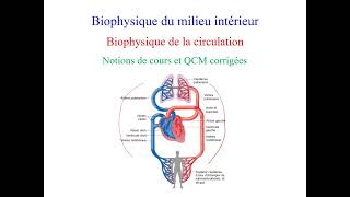 Biophysique de la circulation, notions de cours et QCM corrigées