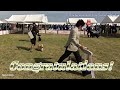 fci international dog show in kinki 【fci近畿インターナショナルドッグショー】