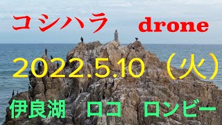 2022年5月10日（火）伊良湖波情報　ロコ　ロングビーチポイント　　モモコシサイズ　　ドローン空撮