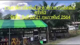 งานตาดีกาสัมพันธ์ (ณ)ตาดีกาดารุลอีสลาห (ปือรอ) ครั้งนี้3