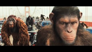 Apes vs Humans - Bridge Battle - Rise of the Planet of the Apes  Movie Clip HD