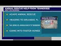 Animal rescue help from Tennessee