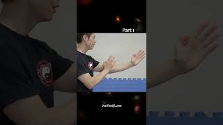 10 Minute Wing Chun Workout Exercises - Routine 1 - Punching & Moving Part 1 #shorts