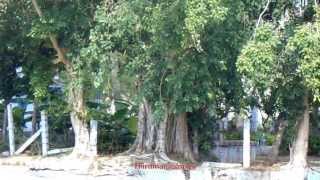 Siddhi vinayaka Maha Ganapthi Temple @ Gundaru River Bank Thirumangalam Part 2