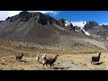 Hike to Pico Austria (5350m), Bolivia