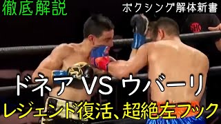 ドネア ウバーリに完全勝利 パーフェクトタイミングの左フックで鮮烈ＫＯ