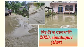 Dikhow flood 2023, Simaluguri Romoni Ali