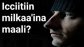 🔴 Atis milkaa,u ni dandessa Kutannoo Yoo qabaatte Oro inspire Barnoota xiinsammuu motivation