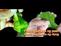 Paano gumawa ng puso | unsaon paghimu ug puso gamit Ang dahon ng niyog