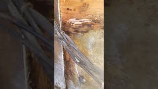 1988 Four Winns 180 Horizon transom removal