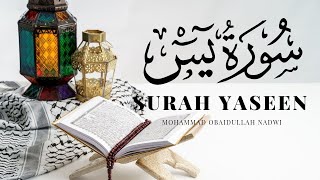 Surah yasin | Yaseen sharif | holy quran recitation