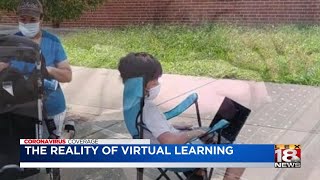 The reality of virtual learning