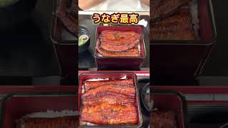 UNAGI japanese eel鰻の成瀬 コスパ美味しさ最強、京王八王子駅1分　#うなぎ　#鰻の成瀬　#unagi #hachioji  #コスパランチ  #short #foodvlog