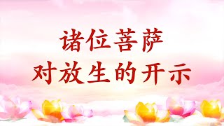 卢台长【节目录音+字幕】诸位菩萨对放生的开示