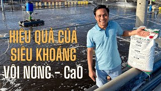 [S3.7] Hiệu Quả Của Siêu Khoáng Vôi Nóng - CaO Trong Nuôi Tôm