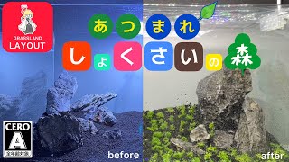 【キューバパールグラス】60cm草原レイアウト水槽にぴったりな水草を植栽するだけで大海原ができました。【ミスト式】