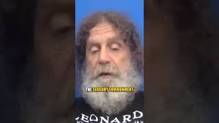 Neurobiologist Talks About FREE WILL | Dr. Robert Sapolsky | #shorts
