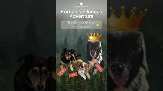 Karbon’s Hilarious Adventure: Bonding with Max and Goldie!