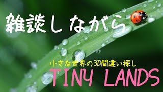 【小さな世界】雑談しながらだらっと3D間違い探し【TINY LANDS】